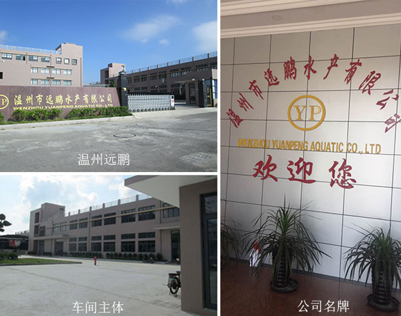 关于远鹏水产 关于远鹏水产