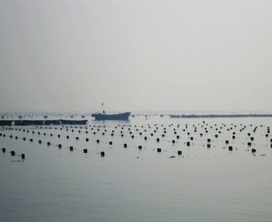 海产品