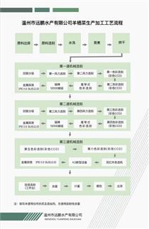工艺流程